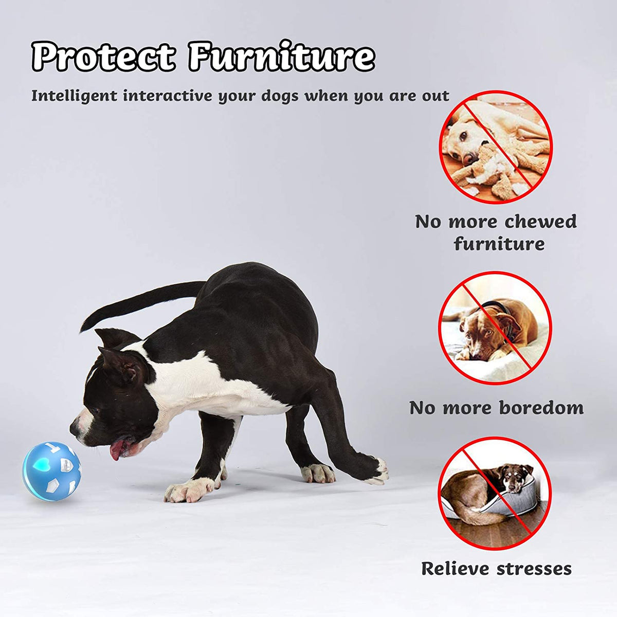 Motion Sensor Interactive Dog Ball USB Rechargeable Pet Shield Australia