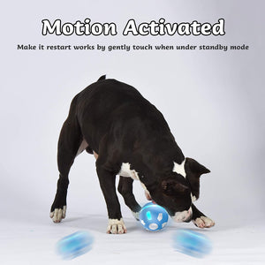Motion Sensor Interactive Dog Ball - USB Rechargeable