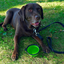 Load image into Gallery viewer, Collapsible Dog Drinking &amp; Eating Bowl
