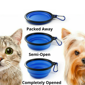 Collapsible Dog Drinking & Eating Bowl