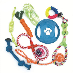 10 Pack of Dog Chewing Toys!
