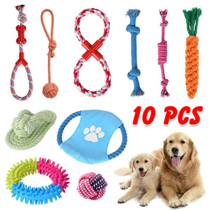 10 Pack of Dog Chewing Toys!